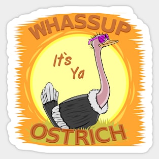 Smooth Ostrich (Male) Sticker